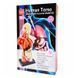 Model anatomic uman Edu-Toys prefabricat 27 cm (MK027) MK027 fotografie 2