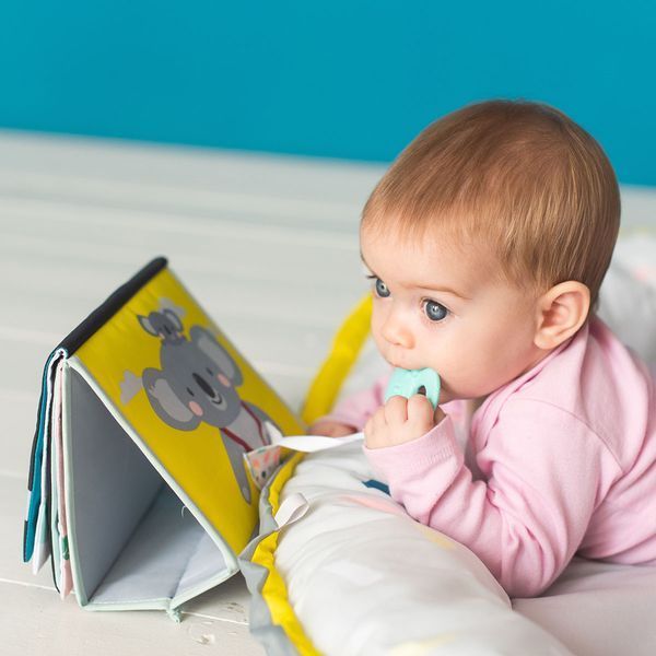 Розвиваюча книжка-розкладушка колекції "Мрійливі коали" - ПРИГОДИ КОАЛИ КІММІ