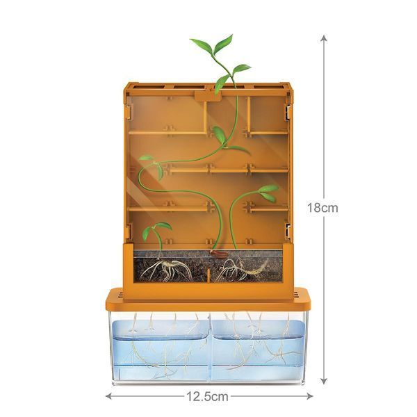 4M &bdquo;Labirint vegetal&rdquo; &ndash; set STEM de creștere și observare plante 00-03352 fotografie