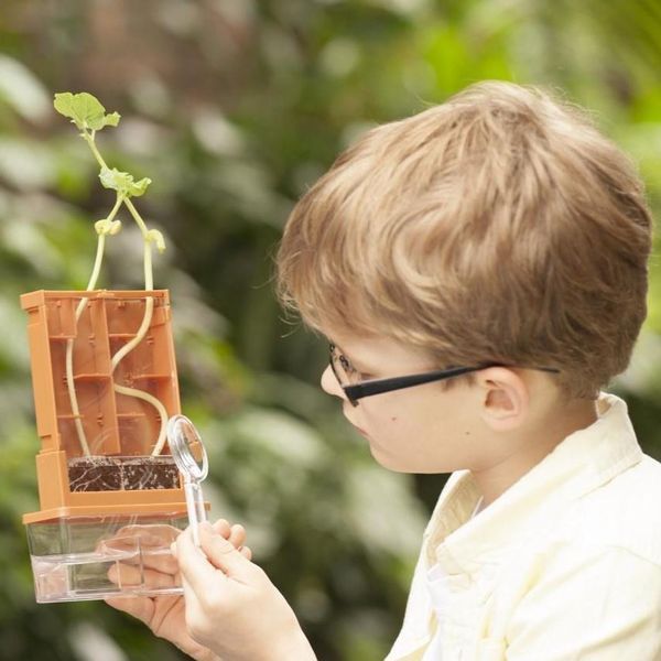 4M &bdquo;Labirint vegetal&rdquo; &ndash; set STEM de creștere și observare plante 00-03352 fotografie
