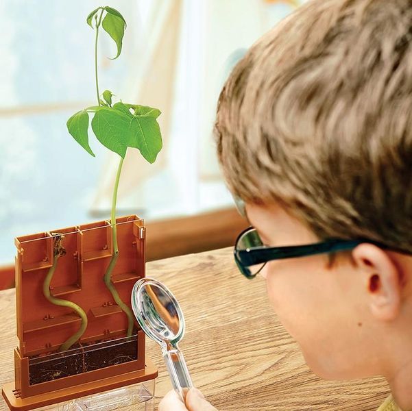 4M &bdquo;Labirint vegetal&rdquo; &ndash; set STEM de creștere și observare plante 00-03352 fotografie