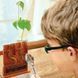 4M &bdquo;Labirint vegetal&rdquo; &ndash; set STEM de creștere și observare plante 00-03352 fotografie 5
