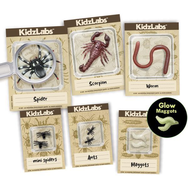 Set de săpături cu insecte 4M &ndash; descoperă lumea entomologiei! 00-03397 fotografie
