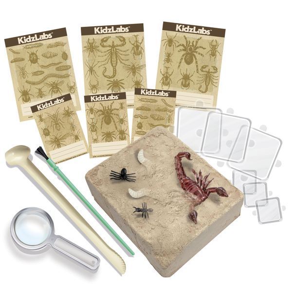 Set de săpături cu insecte 4M &ndash; descoperă lumea entomologiei! 00-03397 fotografie