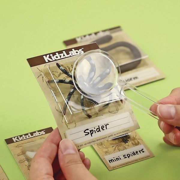 Set de săpături cu insecte 4M &ndash; descoperă lumea entomologiei! 00-03397 fotografie