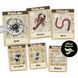 Set de săpături cu insecte 4M &ndash; descoperă lumea entomologiei! 00-03397 fotografie 3