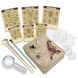 Set de săpături cu insecte 4M &ndash; descoperă lumea entomologiei! 00-03397 fotografie 2