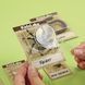 Set de săpături cu insecte 4M &ndash; descoperă lumea entomologiei! 00-03397 fotografie 4
